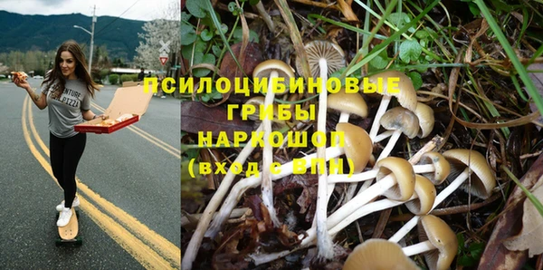 хмурый Алзамай
