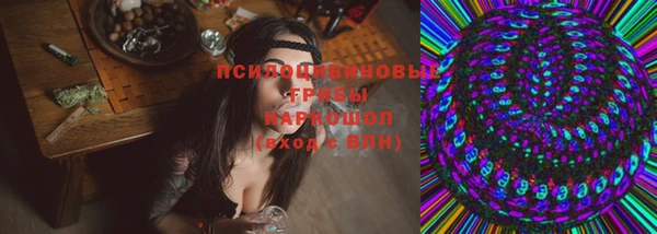 spice Новозыбков